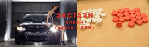 стаф Алексин