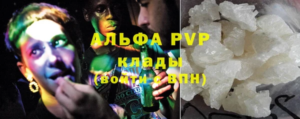 стаф Алексин